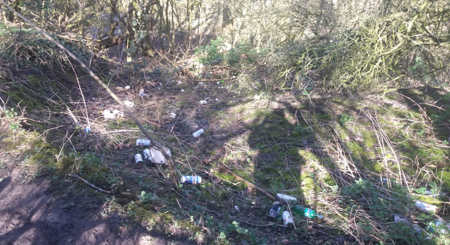 Litter on local footpath