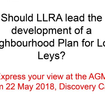 should llra develop neighbourhood plan?