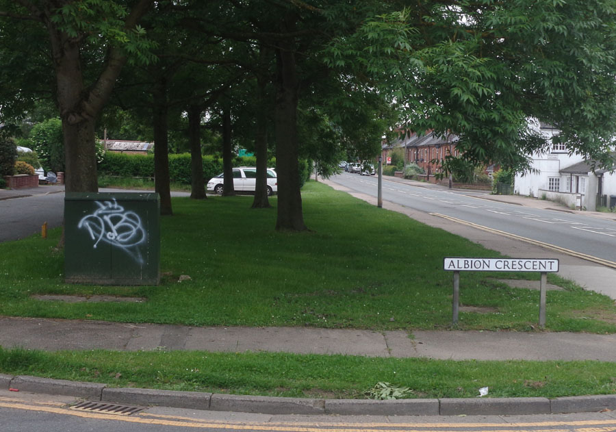 Graffiti on Albion Crescent Green Communications Box