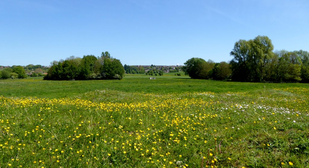Lincoln's West Common In May