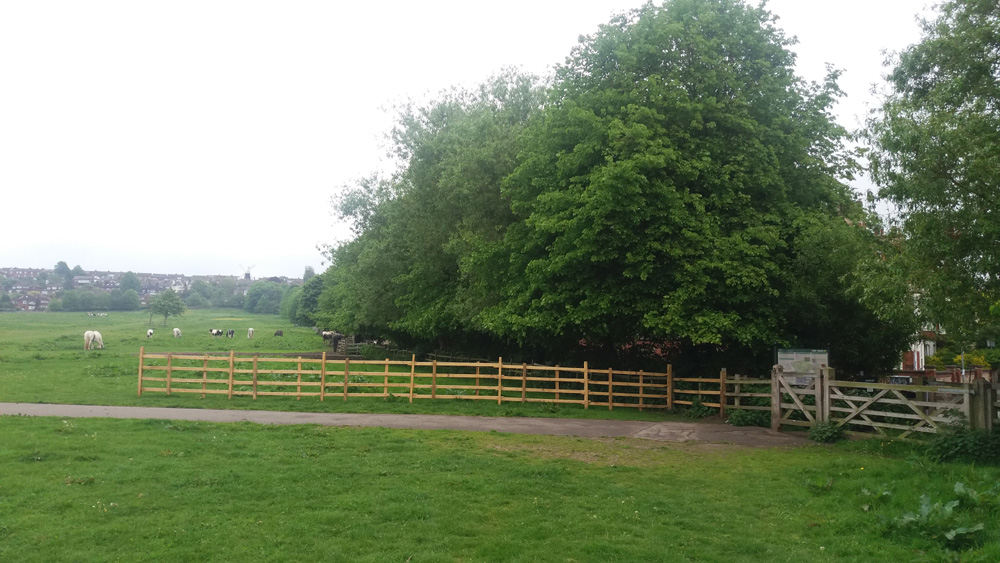West Common: Fence Extension at West Parade Gate