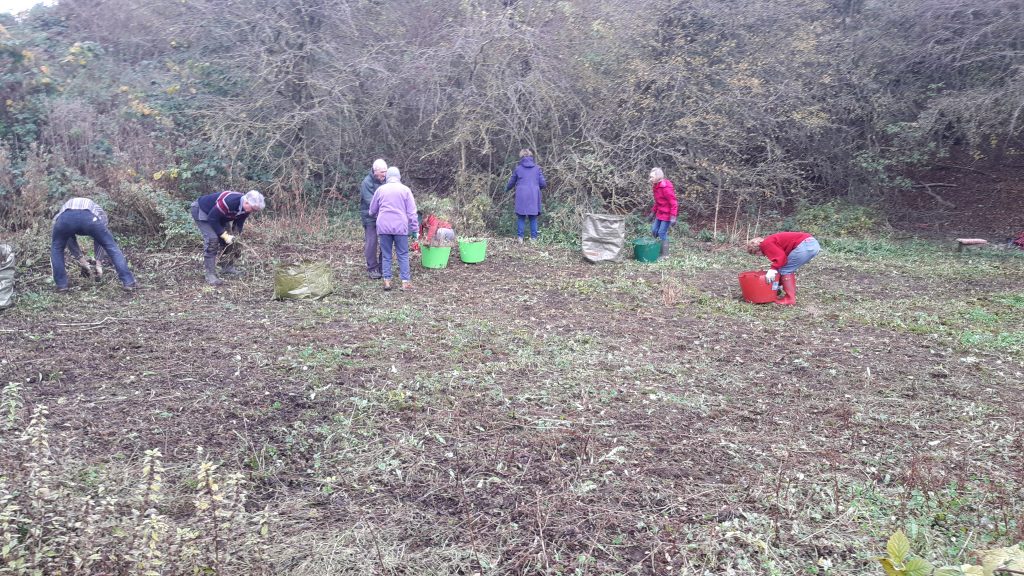 Volunteers Near Completion Of Foliage Clearing Task at Hobblers Hole